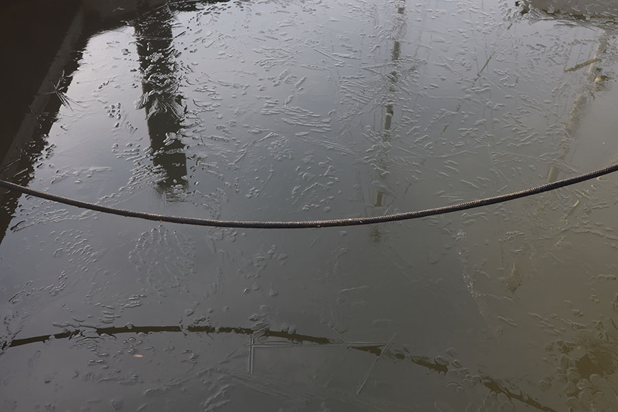 Color Photo of Dockline Reflected in Skim Ice.